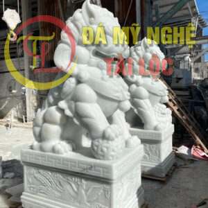 ky lan da trang cao 2m